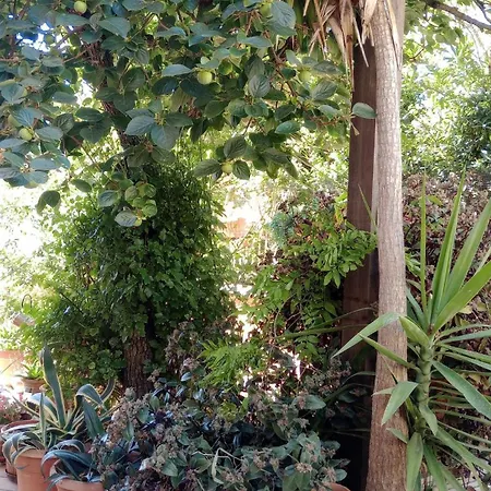 Con Giardino E Posto Auto Privato Apartament Follonica